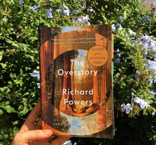 the overstory, richard powers